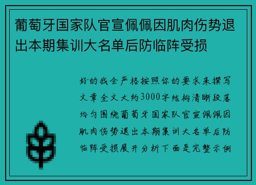 葡萄牙国家队官宣佩佩因肌肉伤势退出本期集训大名单后防临阵受损 葡萄牙国家队官宣佩佩因肌肉伤势退出本期集训大名单后防临阵受损